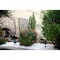Msi Himalayan White Natural Pebbles 0.5 cu. Ft . per Bag 0.75in-1.25in Bagged Landscape Rock, 55PK ZOR-LSC-0178P - alternate 4